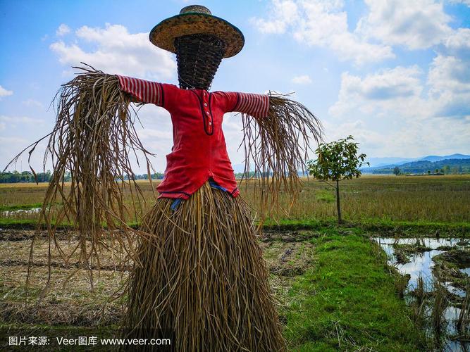 一个奇怪的稻草稻草人在泰国北部的农田上.