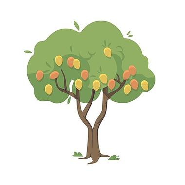 带水果和叶子的扁平芒果树插图
