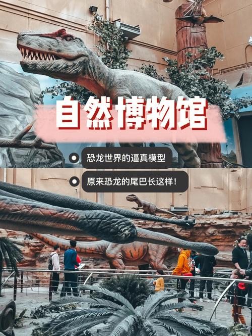 北京自然博物馆77恐龙世界涨知识60