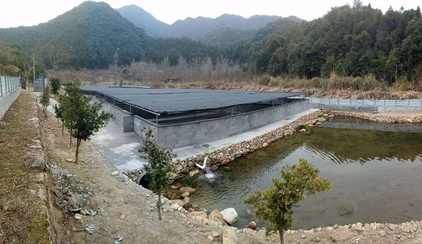鑫鑫石蛙养殖专业合作社位于水北街镇洙溪村大河采育厂.