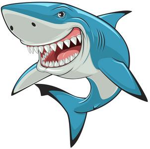鲨鱼动画图片