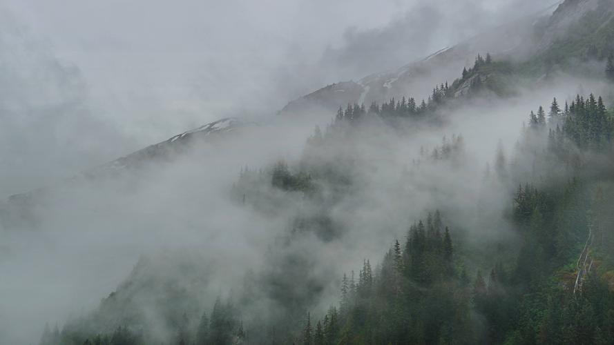 自然云风景薄雾森林地点阿拉斯加州特雷西手臂cloudsmistforestforest