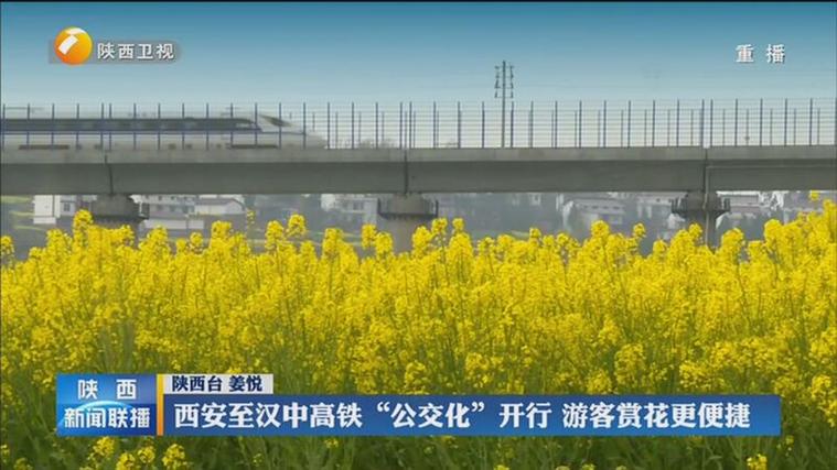 [陕西新闻联播]西安至汉中高铁"公交化"开行 游客赏花更便捷