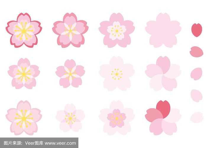 美丽的樱花图标插图