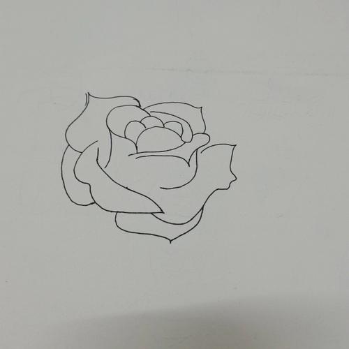 简笔画教程 简单的玫瑰花简笔画哦