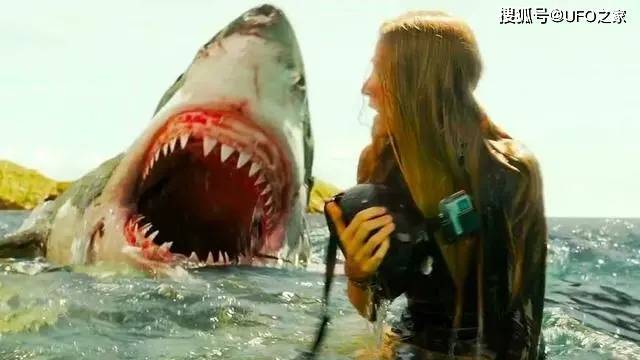 60年内首次咬死人悉尼海滩鲨鱼伤人鲨鱼咬人不是只尝味道吗