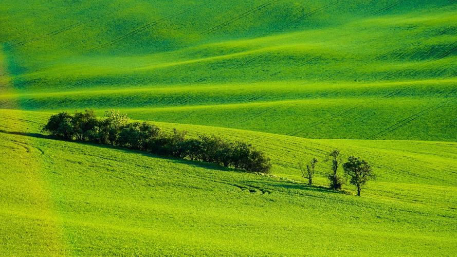 绿色草地风景图片桌面壁纸