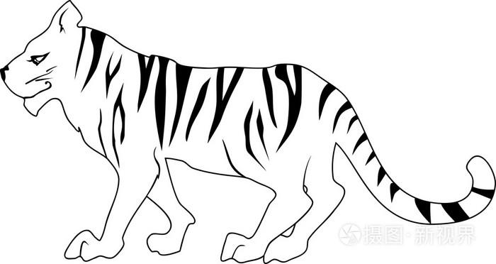 在白色背景上的老虎插画-正版商用图片1pf634-摄图新视界