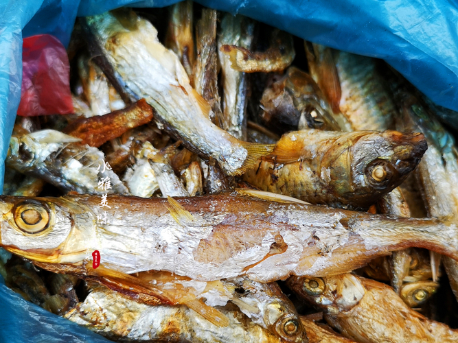 湖南农村火焙鱼,记忆中最美的味道,为什么市场上大部分是冒牌货_小鱼