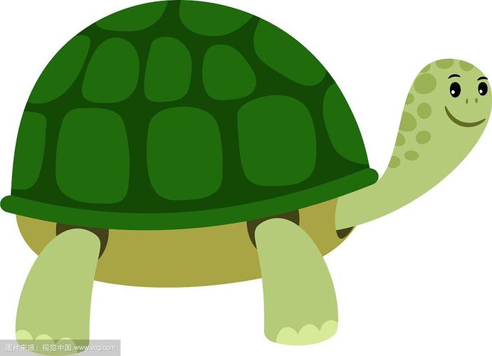 绿色可爱的乌龟卡通图标