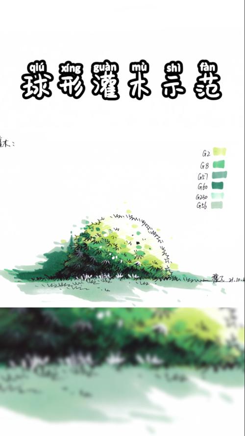 马克笔手绘|线稿 马克笔上色,景观植物球形灌木示范