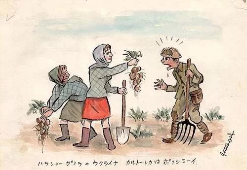 天道好轮回日本鬼子被抓去西伯利亚挖土豆是怎样一种体验