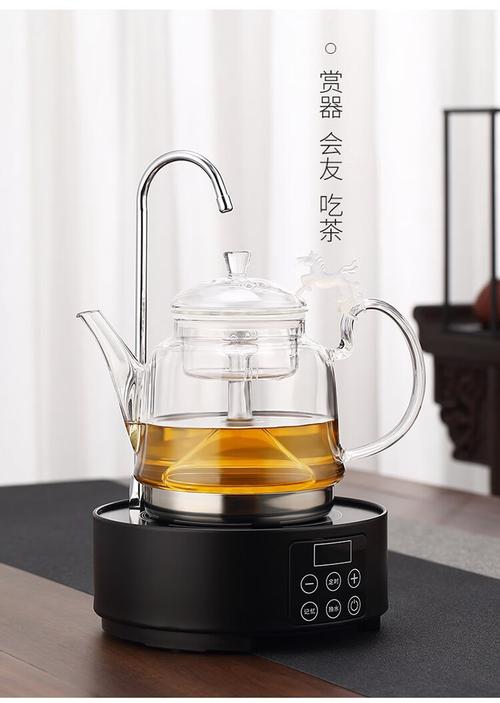 迷你电磁炉泡茶铁壶专用烧水煮茶器茶具电陶炉套装家用小型茶炉 智能