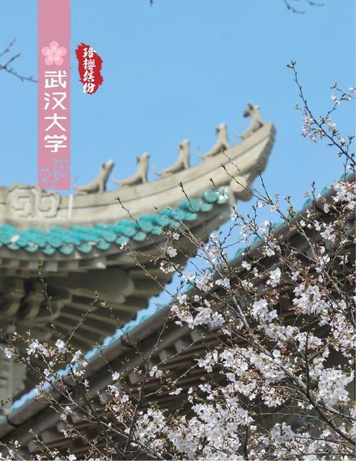武汉市文化和旅游局负责人介绍今年赏樱季武汉将樱花为主打的赏花游