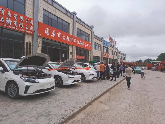 宁夏固原首批30辆新能源出租车投入运营_补贴_交通运输局_驾驶员