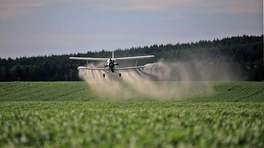 东北航空护林站飞机喷洒农药作业助力农业生产