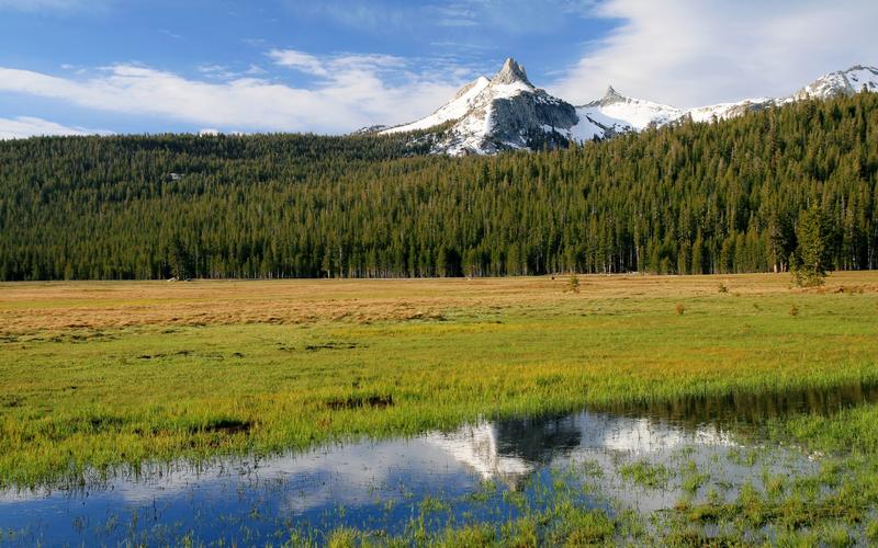 优胜美地国家公园在美国加利福尼亚壁纸,高清图片,壁纸,自然风景-桌面