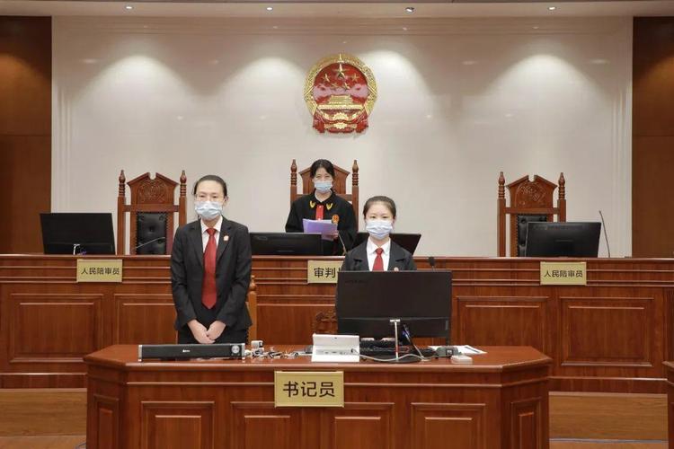 严厉打击! 深圳龙华法院宣判两宗毒品犯罪案件