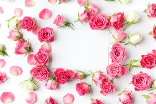 浪漫玫瑰花,情人节,玫瑰,5k背景图片