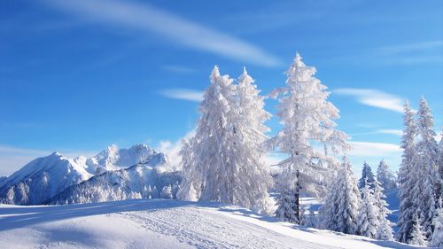 冬季自然唯美雪景,高清图片,电脑桌面-壁纸族