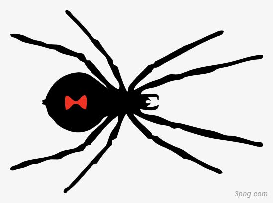 黑寡妇蜘蛛图片png素材透明免抠图片-卡通手绘