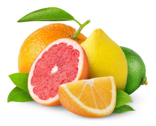 白底柑橘类水果图片