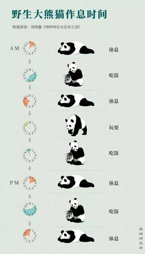 大熊猫繁育研究基地)   ▼      多吃多拉,快吃快拉,我们全天活动时间