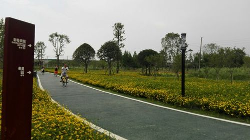 其它 梦中水乡……云桥湿地公园 写美篇   云桥湿地公园位于郫县新民