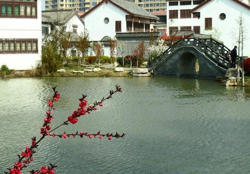 连云港青年公园,海棠花盛开时,公园充满着一片浓郁的浪漫情调