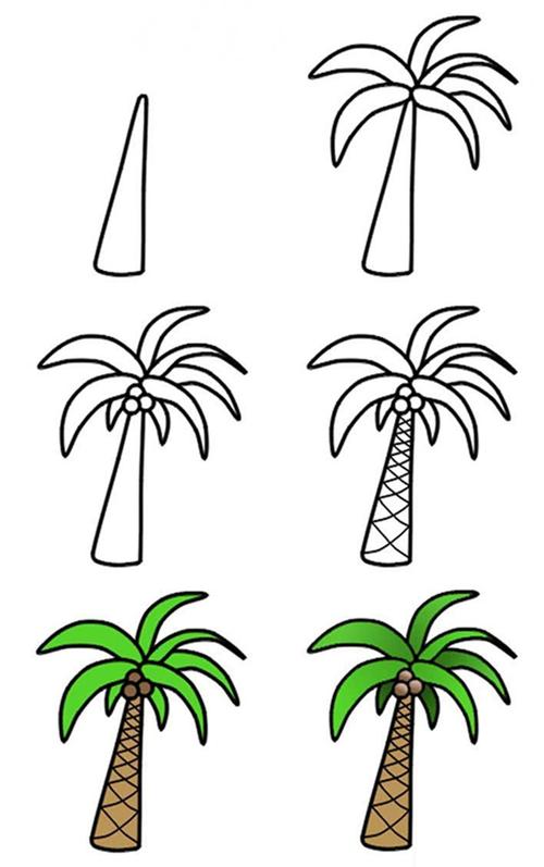 椰子树怎么画简笔画?