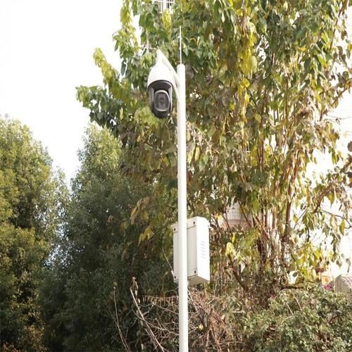 金牛华体牌公园摄像天网监控立杆电子眼卡口监控杆大厂家品质有保障