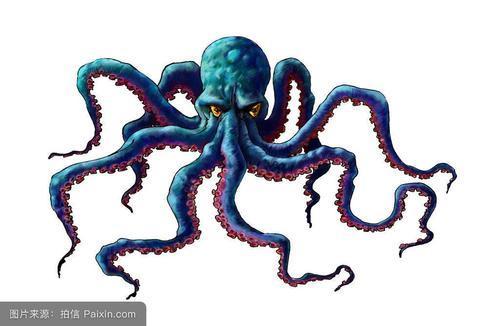 海洋怪兽章鱼的简笔画