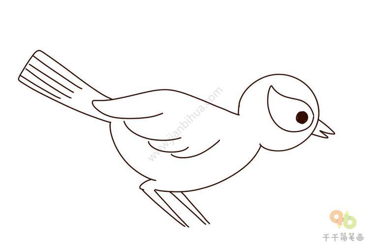 漂亮的黄鹂鸟简笔画飞行动物简笔画