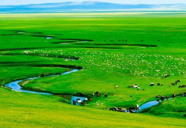 美丽中国 内蒙古自治区篇丨环保清风吹绿草原