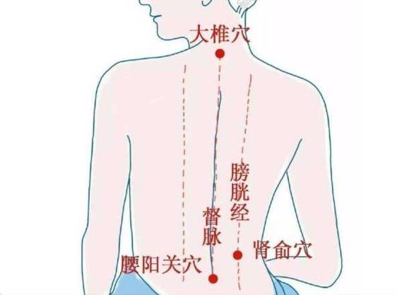 腰是人体的带脉区,所有的经络都是竖着的,只有带脉是横着的,也是身体