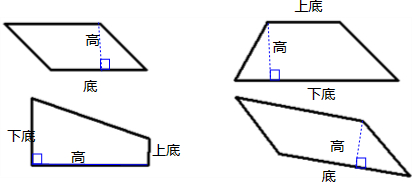 画出下面平行四边形和梯形的高,平行四边形标出底,梯形标出上底和下底