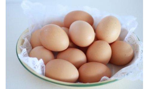 波兰鸡蛋引发欧盟大范围沙门氏菌疫情
