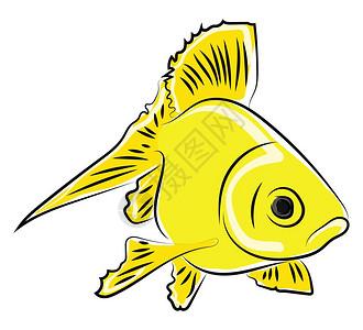 黄鱼的插画_黄鱼的卡通_黄鱼的插图_手绘_板绘_摄图网
