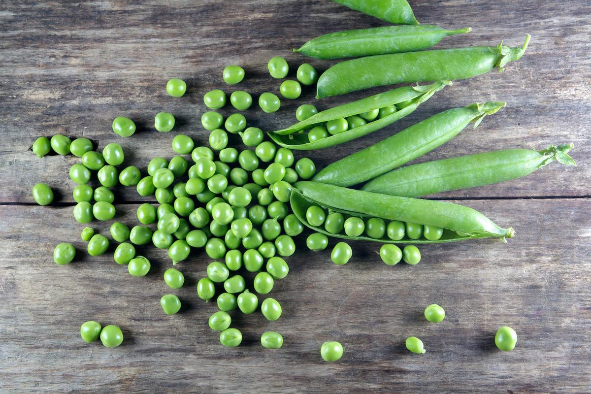 五谷养生整齐排列的豆类背景五谷养生白色背景上新鲜的绿色蔬菜种类彩