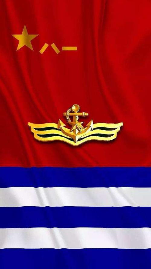 担负检阅任务的西宁舰按照海军最高礼仪悬挂代满旗,五星红旗,八一军旗