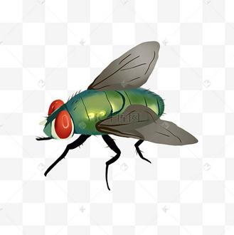 昆虫苍蝇蚊子蚊虫卡通动图gif
