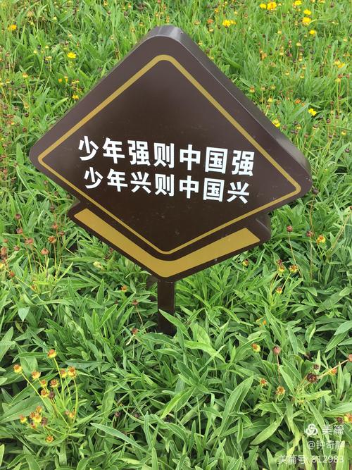 看看草坪上,到处插着宣传标语"少年强的中国强;少年兴则中国兴"