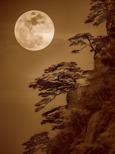 黄山的松与一轮明月两张不同时间拍摄的照片运用后期结合在一起,色调