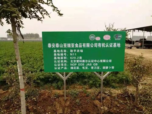 耿家平村小乡村的蔬菜基地获得国际认证