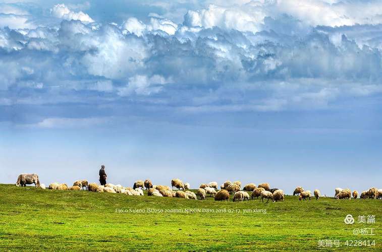 可可托海牧羊人