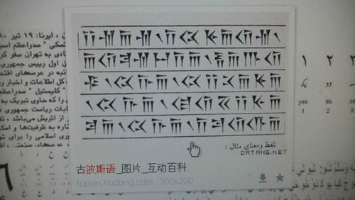 谁认识这种文字符号?可能是古代阿拉伯,波斯或中国蒙古文