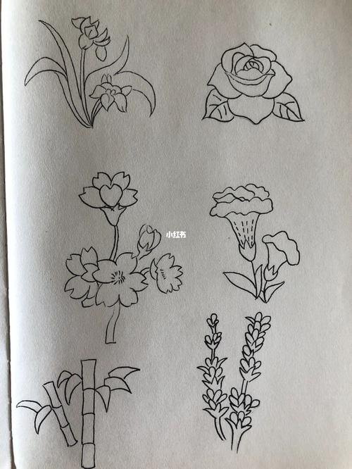 简笔画51植物篇花卉