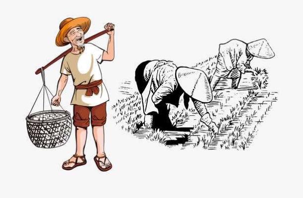 每年到了耕种收割的季节,就能看到好多农民伯伯忙忙碌碌的非常辛苦.