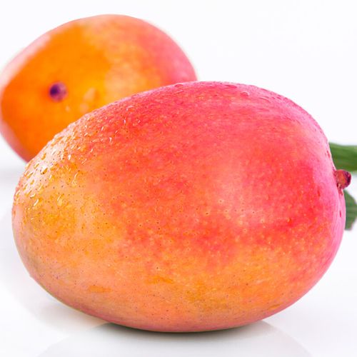 芒果进口澳大利亚礼盒8斤热带水果澳洲新鲜芒果