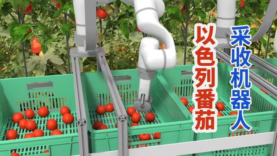 以色列番茄采收机器人自动摘取成熟果实取代人工干活不休息